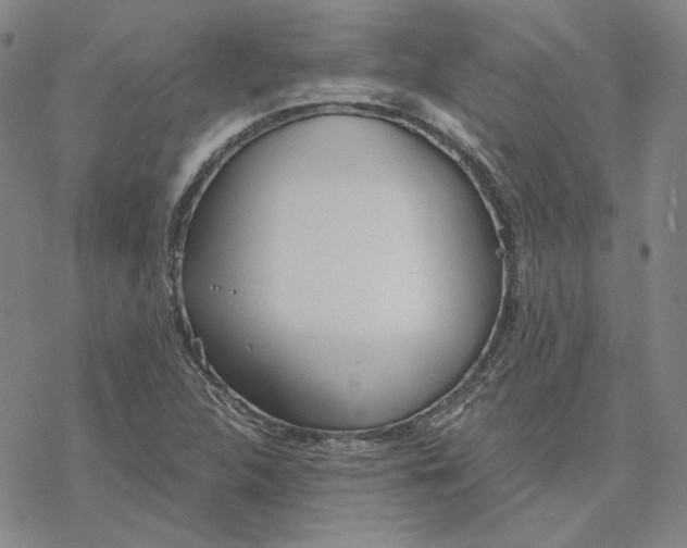 X0000076391312200610271543