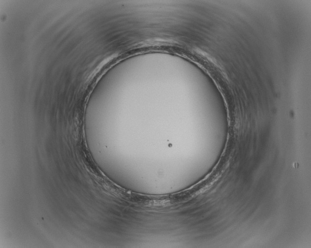 X0000076391313200610271543