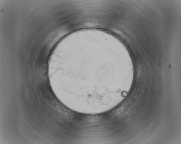 X0000076391314200610271543