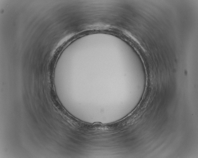 X0000076391315200610271543