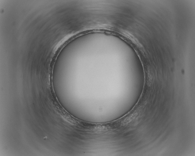 X0000076391316200610271543