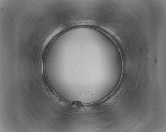 X0000076391317200610271543