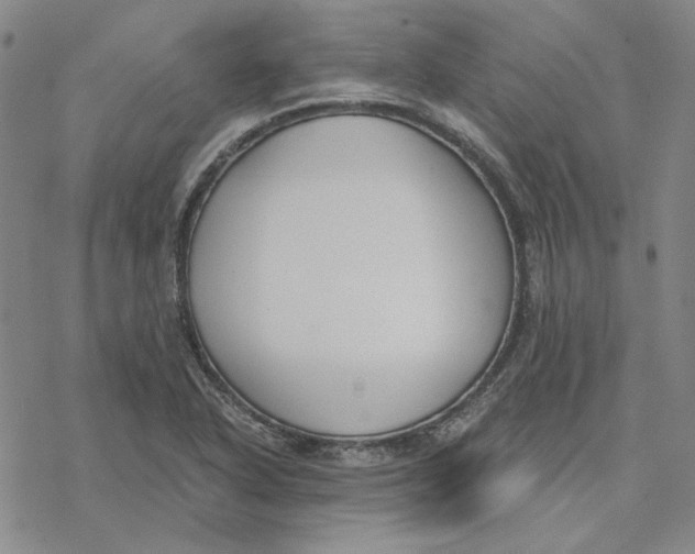 X0000076391318200610271543