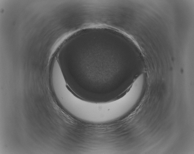 X0000076391319200610271543