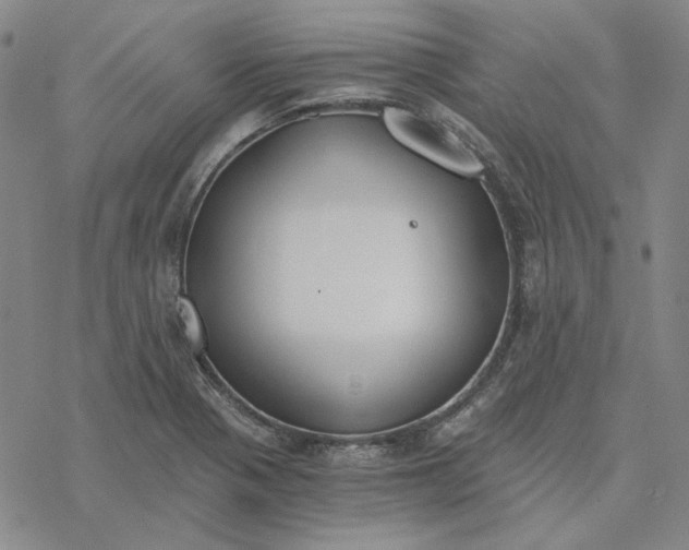 X0000076391321200610271543