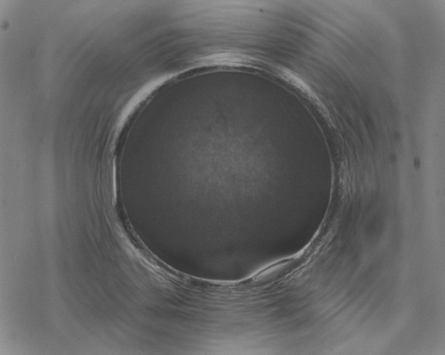 X0000076391323200610271543