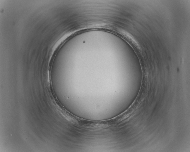 X0000076391324200610271543