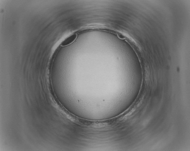 X0000076391325200610271543