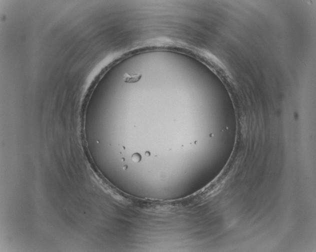 X0000076391326200610271543