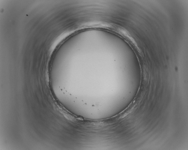 X0000076391328200610271543