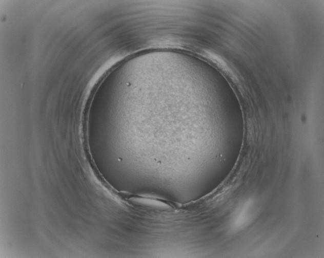 X0000076391331200610271543