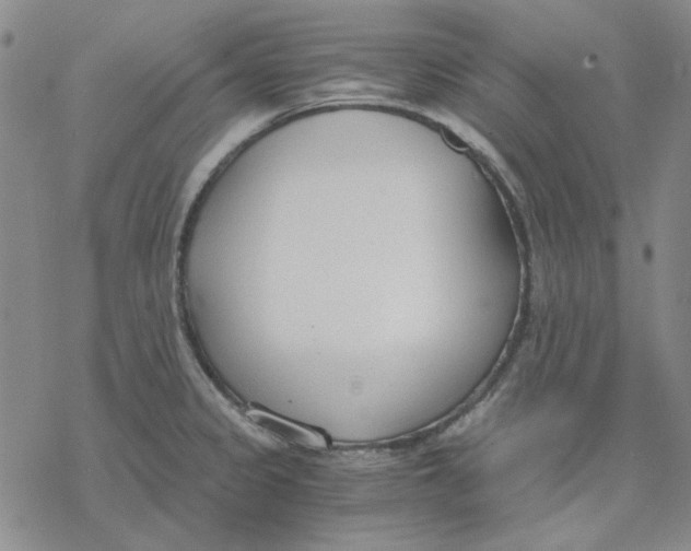 X0000076391333200610271543