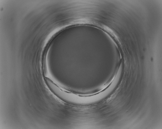 X0000076391334200610271543