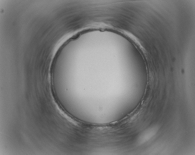 X0000076391335200610271543