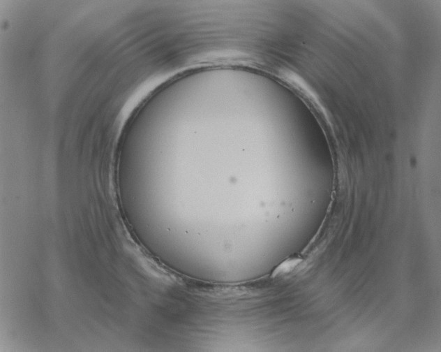 X0000076391336200610271543