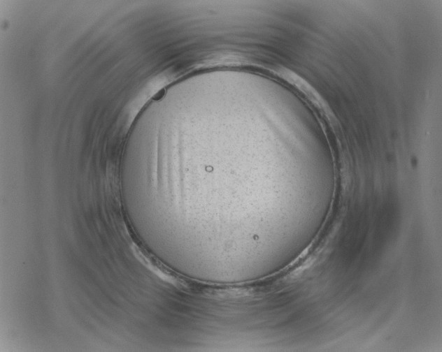 X0000076391337200610271543