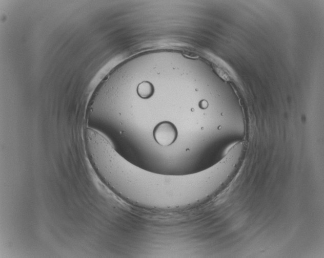 X0000076391338200610271543