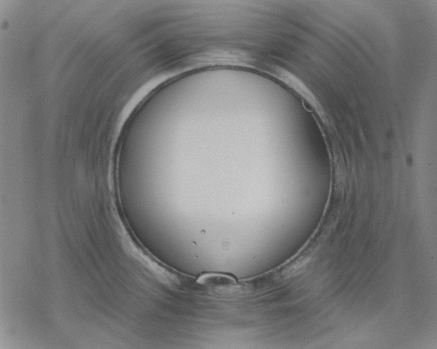 X0000076391339200610271543