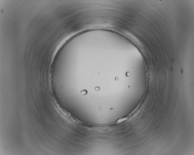 X0000076391340200610271543