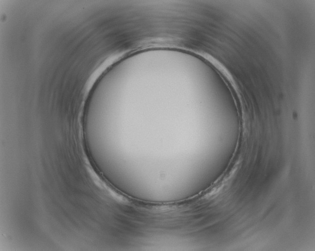 X0000076391341200610271543