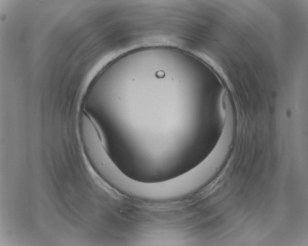 X0000076391342200610271543