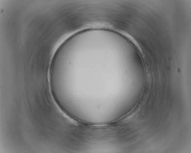 X0000076391343200610271543