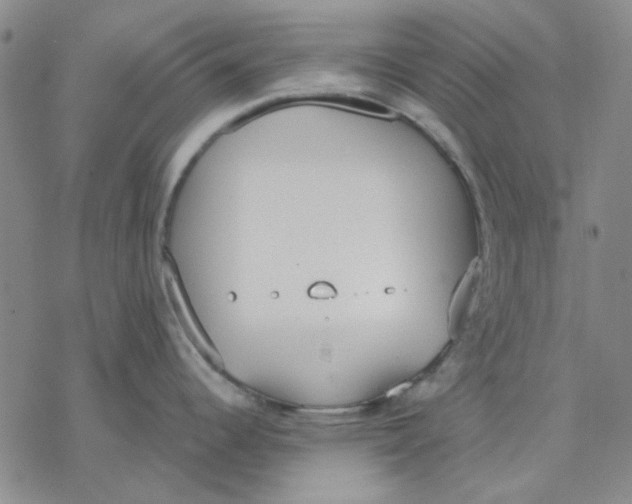 X0000076391344200610271543