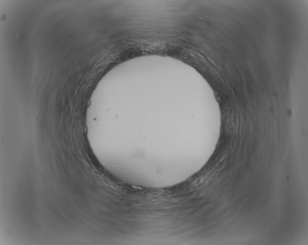 X0000076391345200610271543