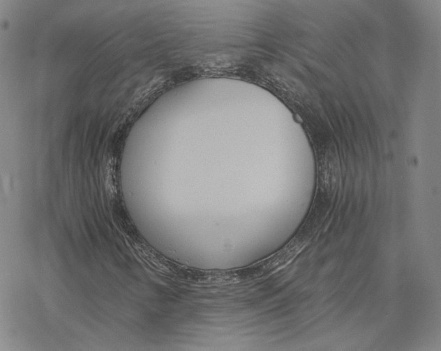 X0000076391346200610271543