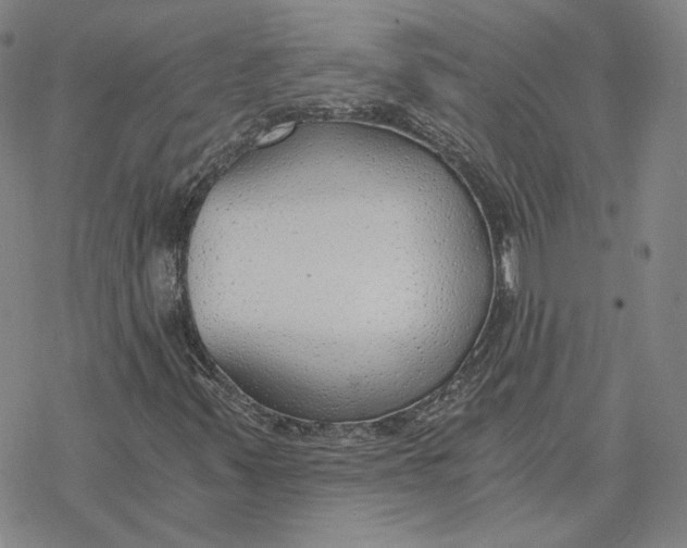 X0000076391347200610271543