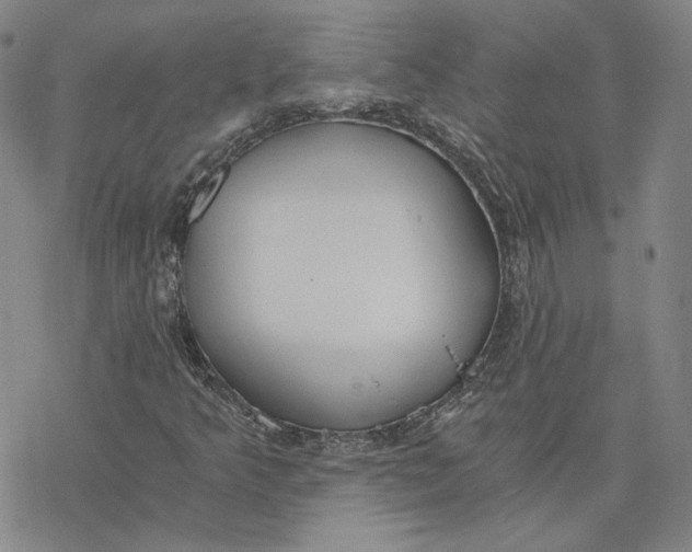 X0000076391349200610271543