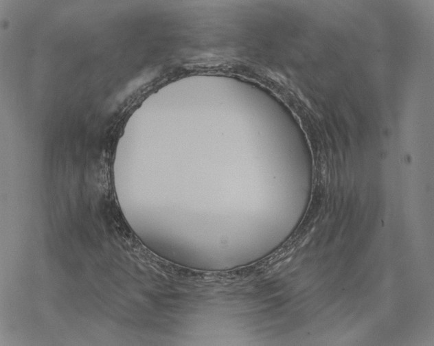 X0000076391350200610271543