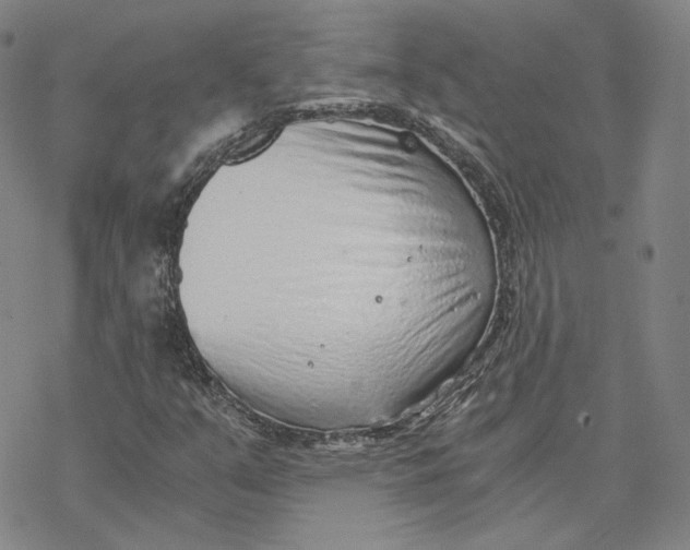 X0000076391351200610271543