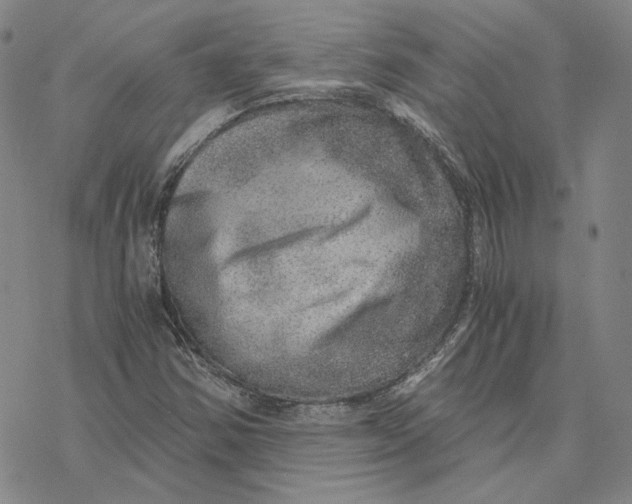 X0000076391354200610271542