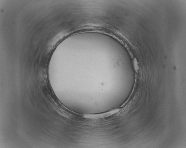 X0000076391355200610271542