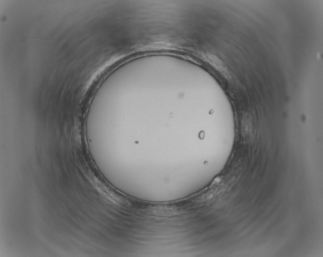 X0000076391356200610271542