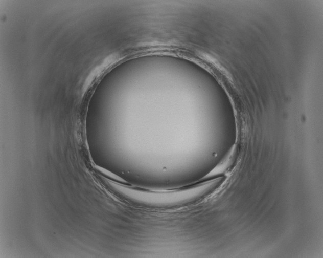 X0000076391357200610271542