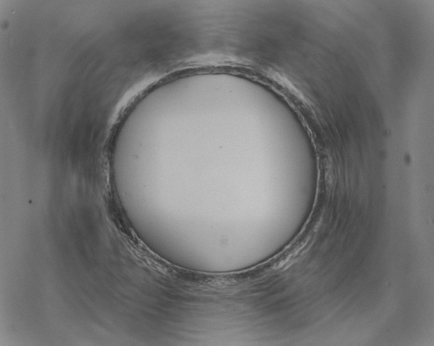 X0000076391358200610271542