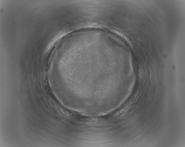 X0000076391359200610271542