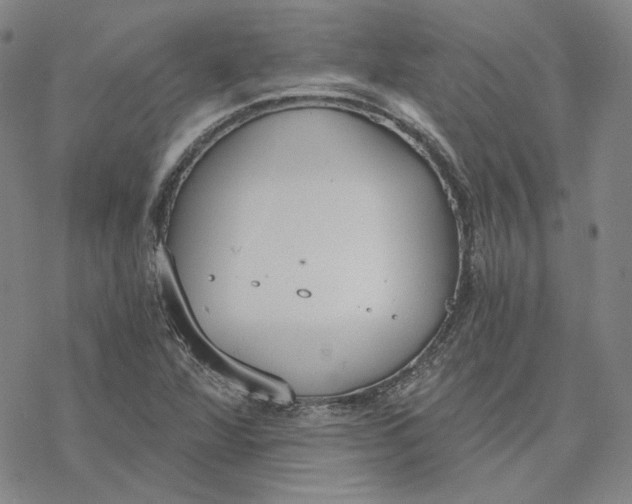 X0000076391360200610271542