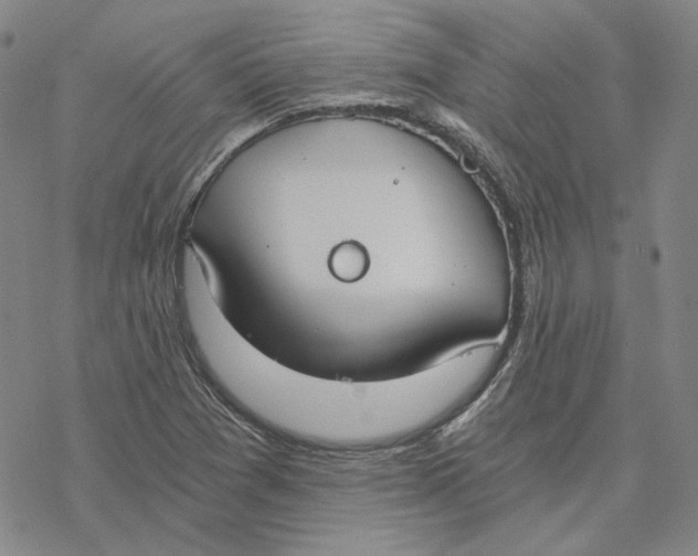 X0000076391361200610271542