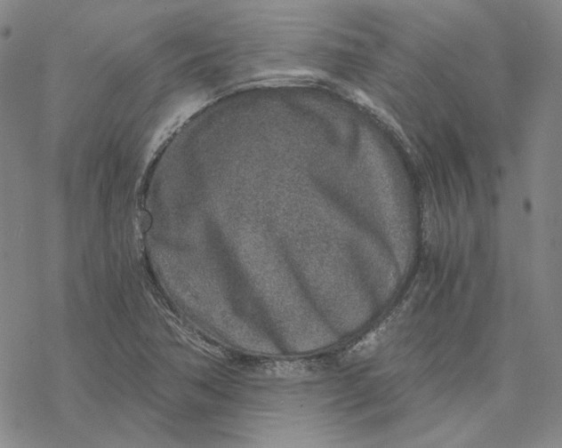 X0000076391362200610271542