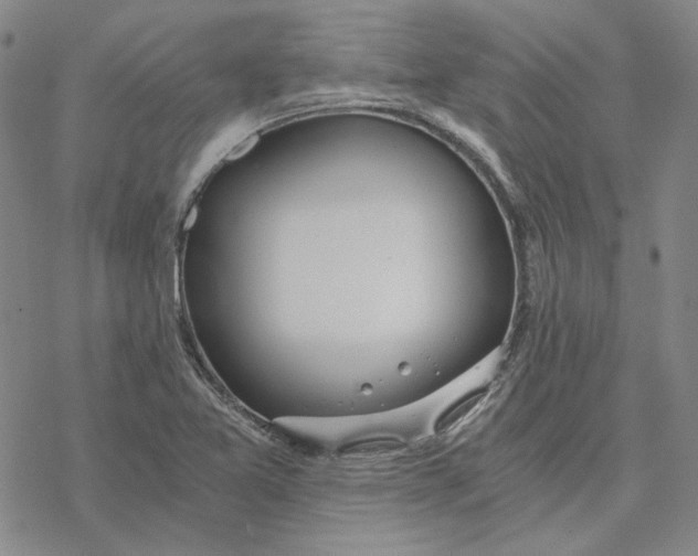 X0000076391365200610271542