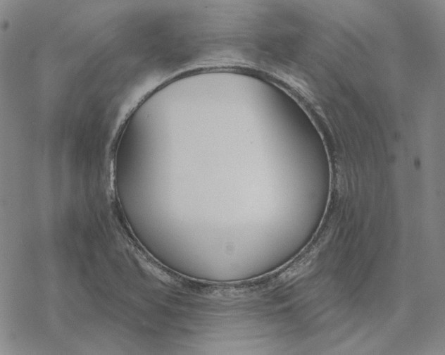 X0000076391366200610271542