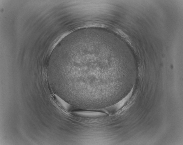 X0000076391369200610271542