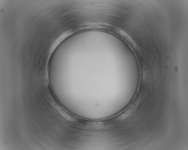 X0000076391370200610271542