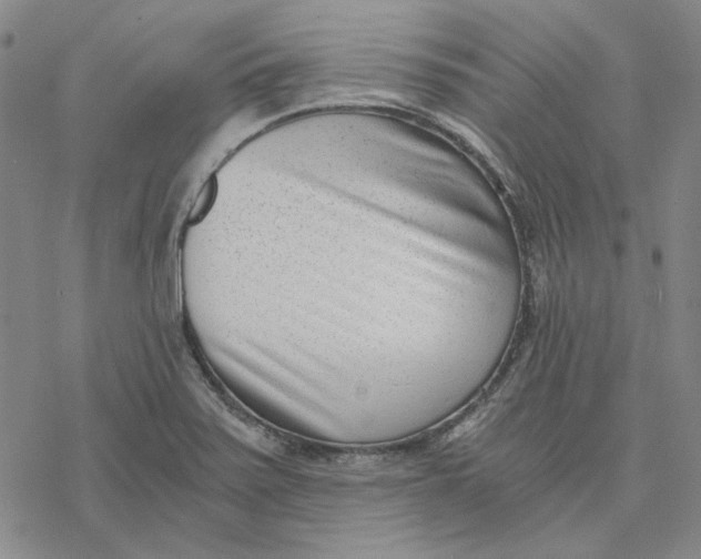 X0000076391371200610271542