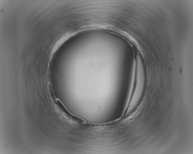 X0000076391373200610271542