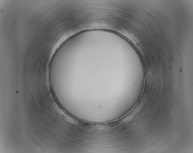 X0000076391374200610271542