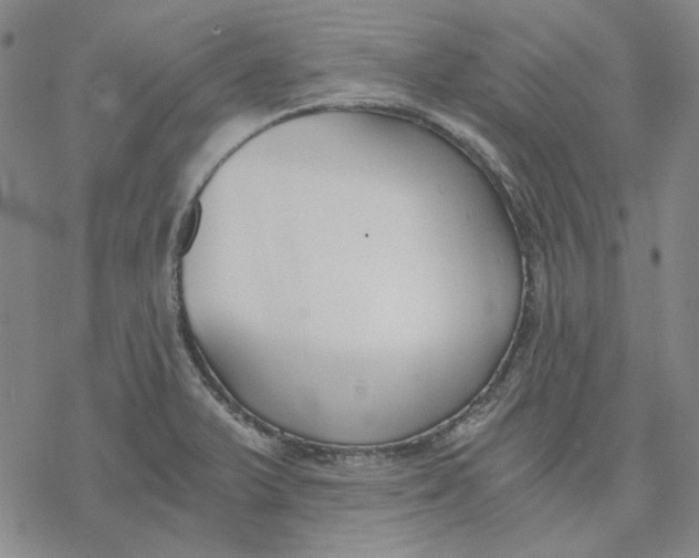 X0000076391375200610271542